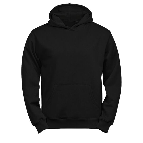 Tee Jays Kids Unlabeled Hooded Sweatshirt Thumbnail