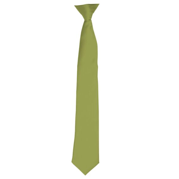 Premier 'Colours' Satin Clip Tie Thumbnail